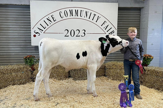 Grand Champion Feeder Calf