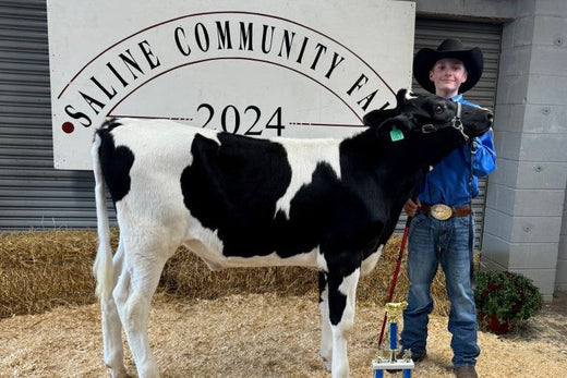 Grand Champion Feeder Calf