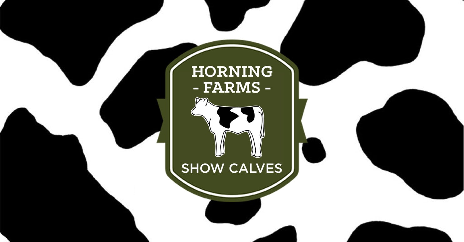 Horning Farms Online Feeder Calf Auction Catalog