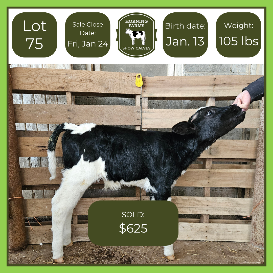 Lot 075