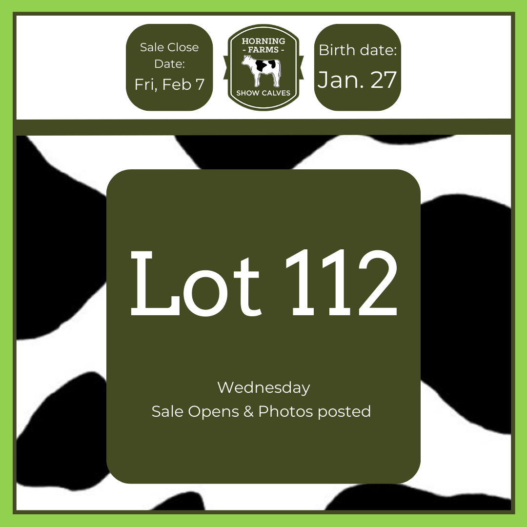 Lot 112