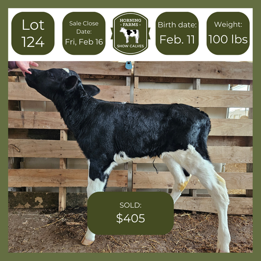 Lot 124