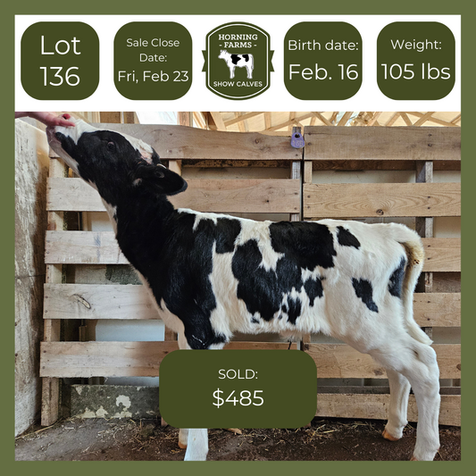 Lot 136