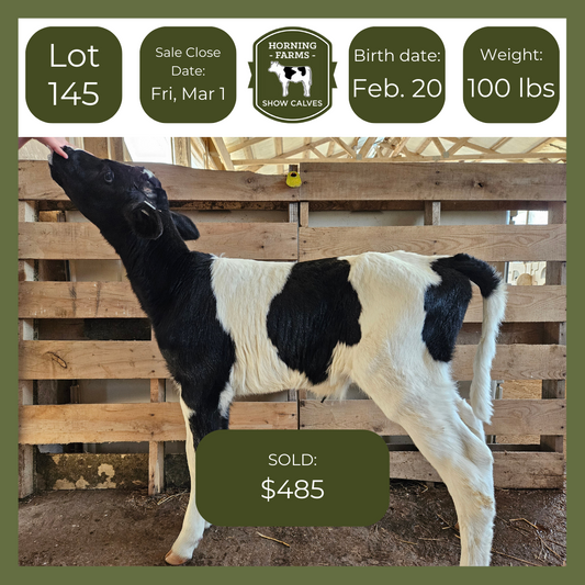 Lot 145