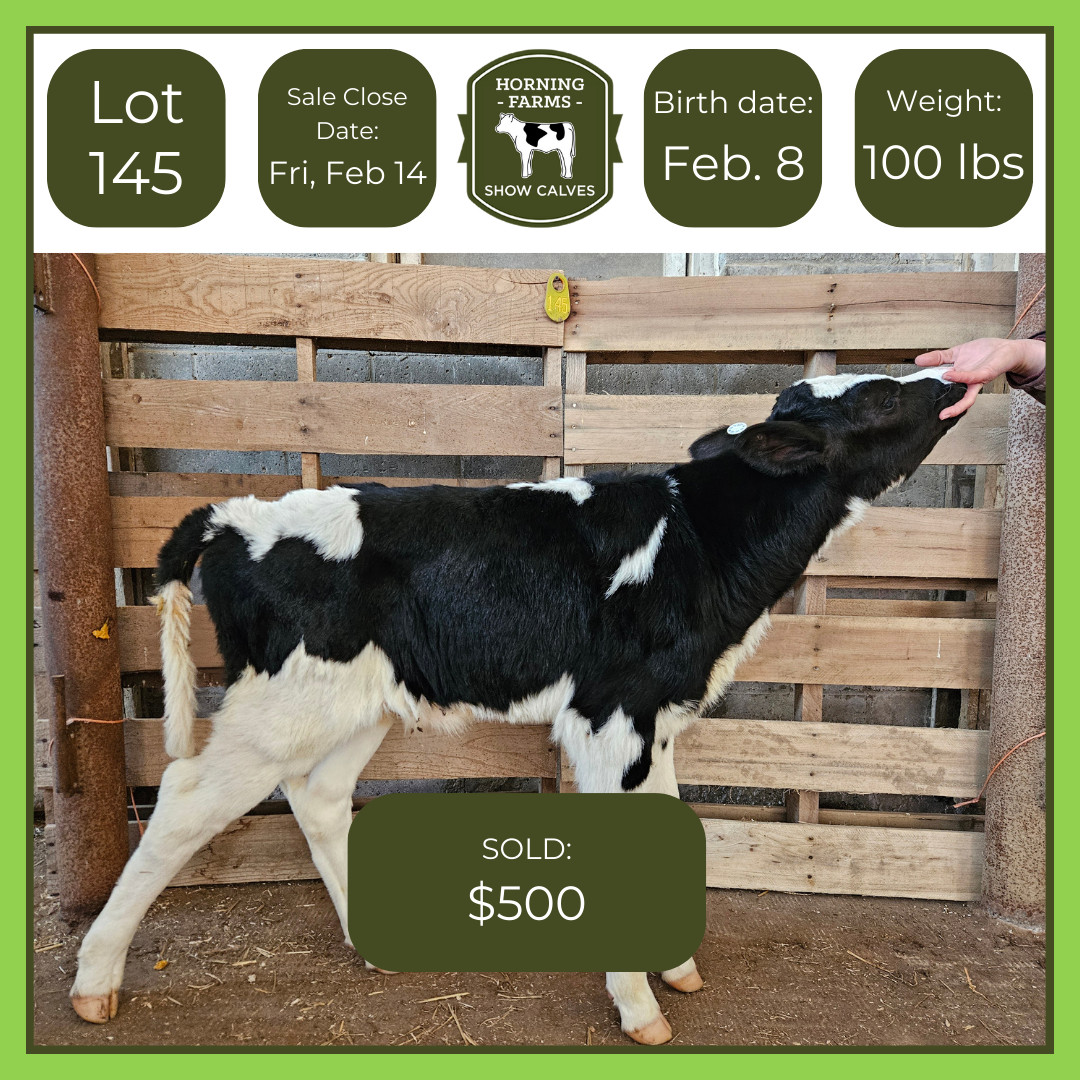 Lot 145