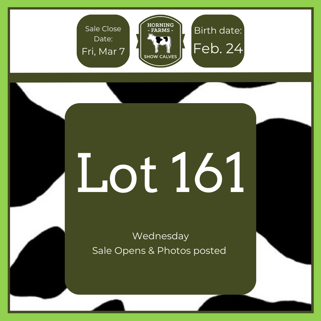 Lot 161