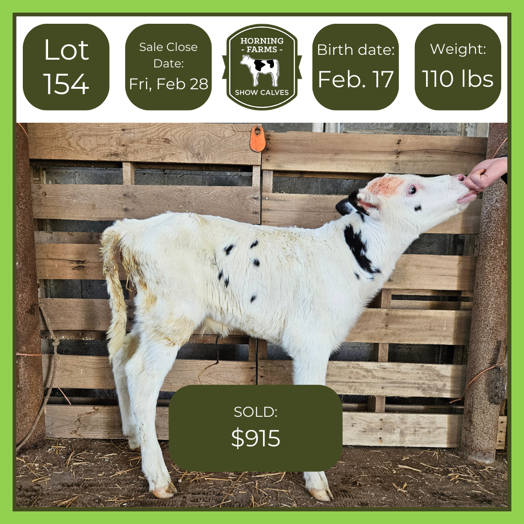 Lot 154